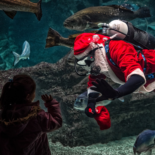 Ideas de regalos para nadadores: los mejores accesorios de natación para sorprender esta Navidad