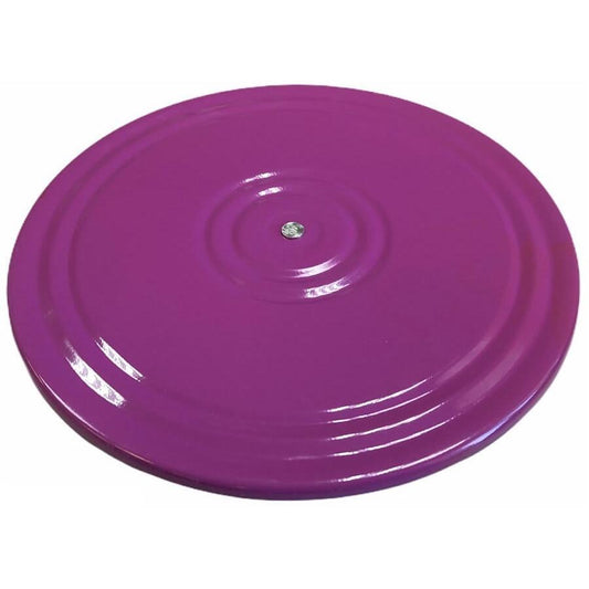 Disque En Métal SALUD Violette-Vert 28 cm