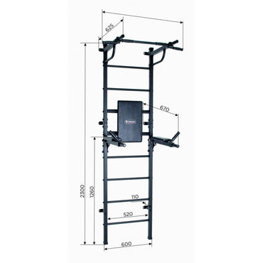 START White-Black 230*60*62.5 cm Wall-Mounted Gym for Adults with Wall Bars and Foldable Dip Bar up to 250 kg