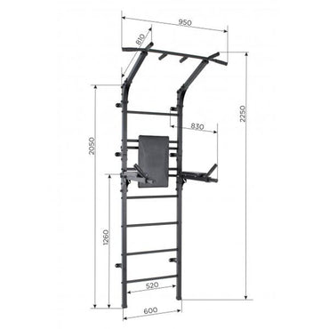 OLIMPUS Wall Gym for Adults with Stall Bars, Foldable Dip Bars, and Pull-Up Bar Black 225*90*83 cm